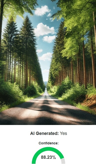 Fake image detection example